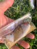 Picture of Cinnamon Salt Blue Sage Inciense Palo santo Healing Kit.