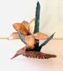 Picture of Garden quail