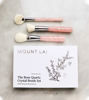Picture of 3PC ROSE QUARTZ BRUSH SET