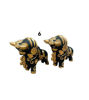 Picture of Magical Pucara Bulls. Two pieces.