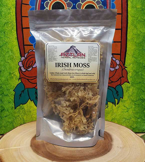 Picture of Golden Irish Moss (Chondrus Crispus) Raw Wildcrafted 2 oz