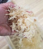 Picture of Golden Irish Moss (Chondrus Crispus) Raw Wildcrafted 2 oz