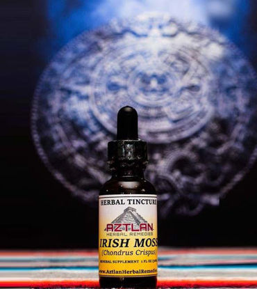 Picture of Irish Moss Tincture 1oz