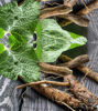 Picture of Burdock Root Tincture 1oz