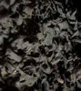 Picture of Peru Irish Moss Purple (Chondrus Crispus)