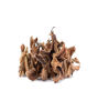 Picture of Flor de Manita (Mexican Hand Tree) 2oz