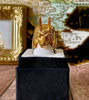 Picture of King Anubis Ring | Egyptian Elegance