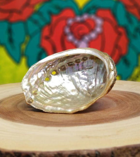 Picture of Abalone Shell with Stand 3-4"