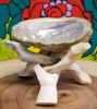 Picture of Abalone Shell with Stand 3-4"