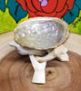 Picture of Abalone Shell with Stand 3-4"