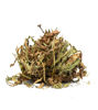 Picture of Diente de Leon (Dandelion Leaf) (2oz)