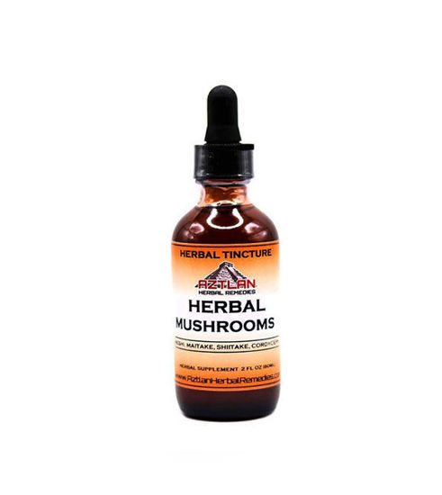 Picture of Herbal Mushrooms Tincture 2oz