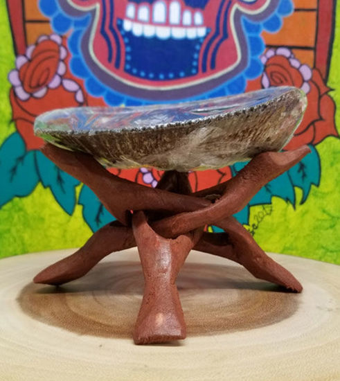 Picture of Large Abalone Shell with Stand 5-7"