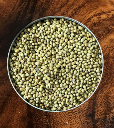 Picture of Whole Coriander Seeds