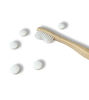 Picture of Bamboo Toothbrush Bundles